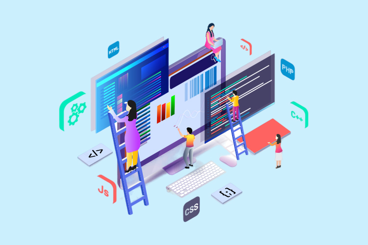 Website Design and Development Services