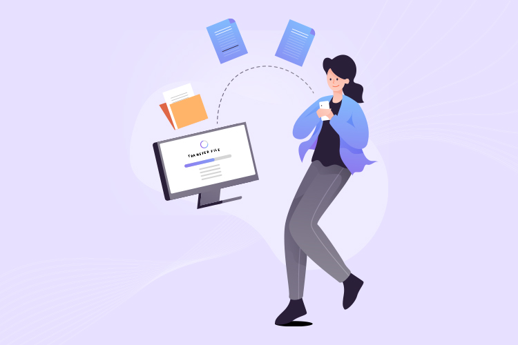 What are file permissions