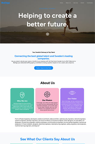 OG Web Solutions Portfolio